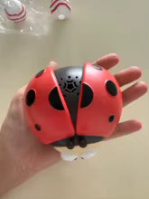 ladybug floating ball