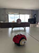 ladybug floating ball